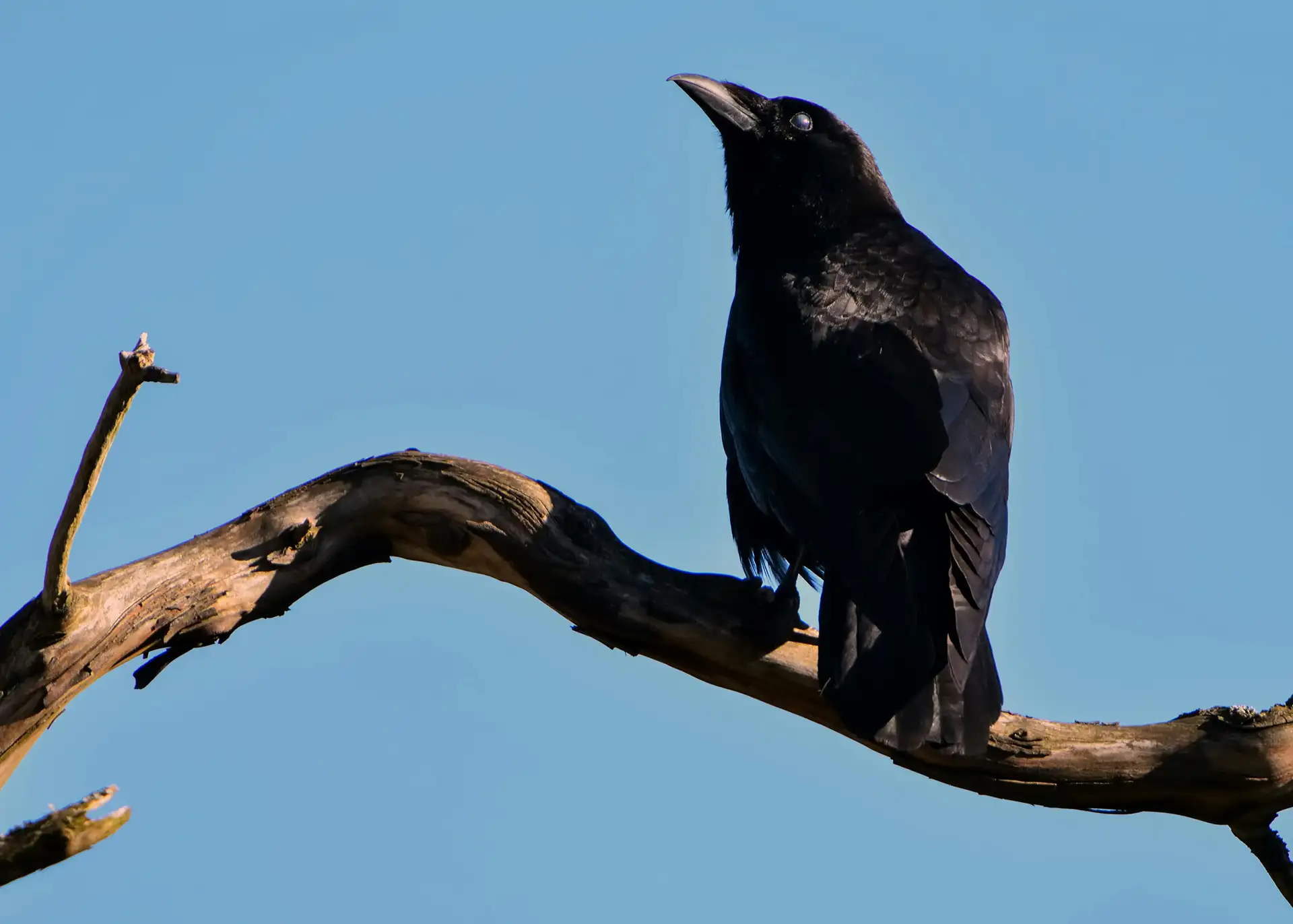Fotografía por Pexels