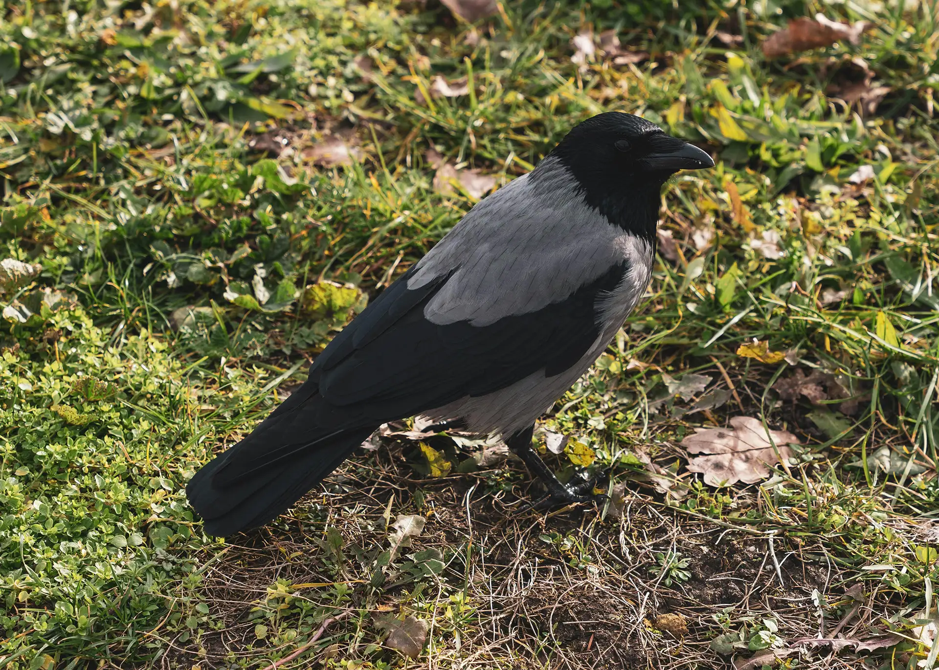 Fotografía por Pexels