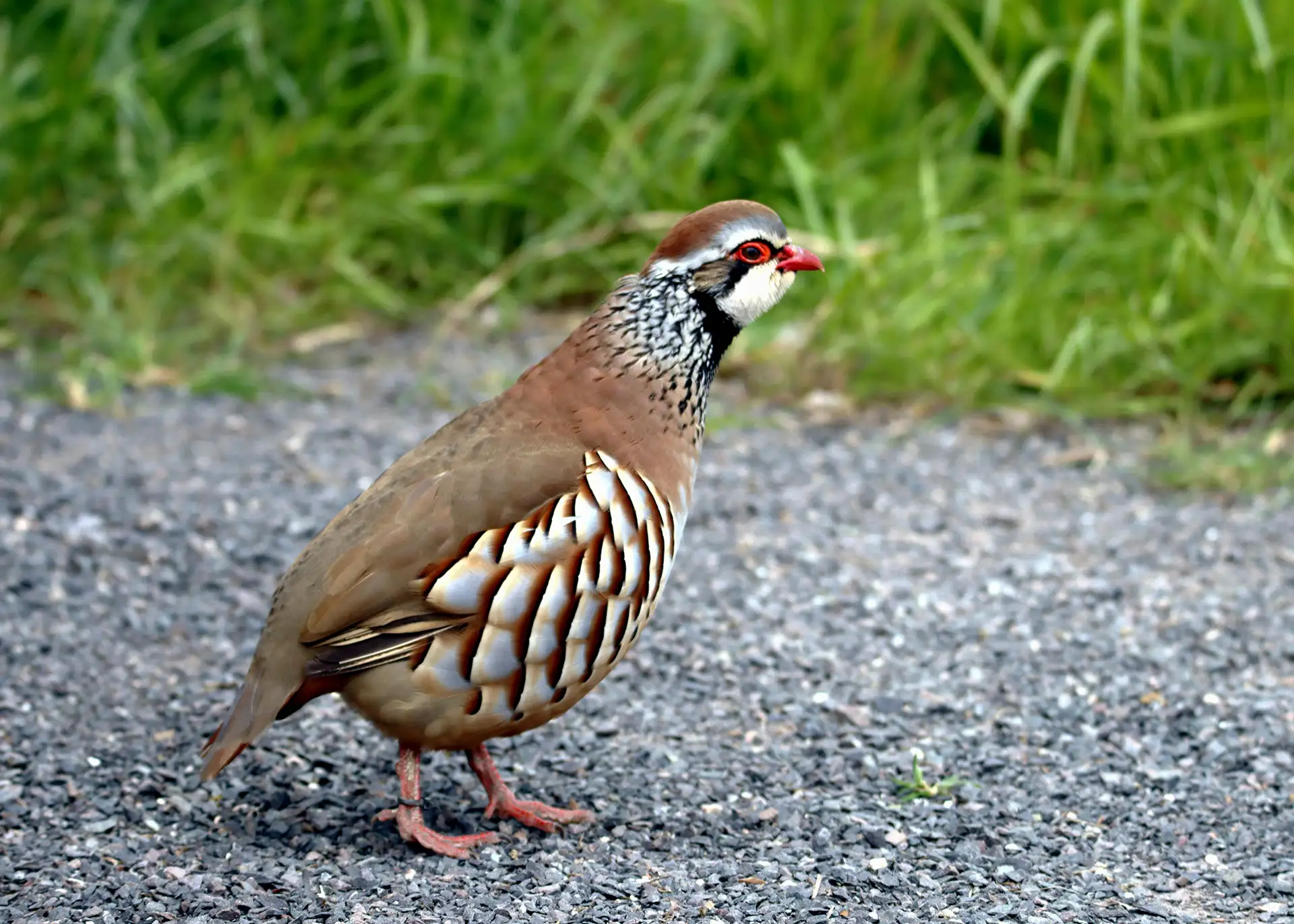 Fotografía por Pexels