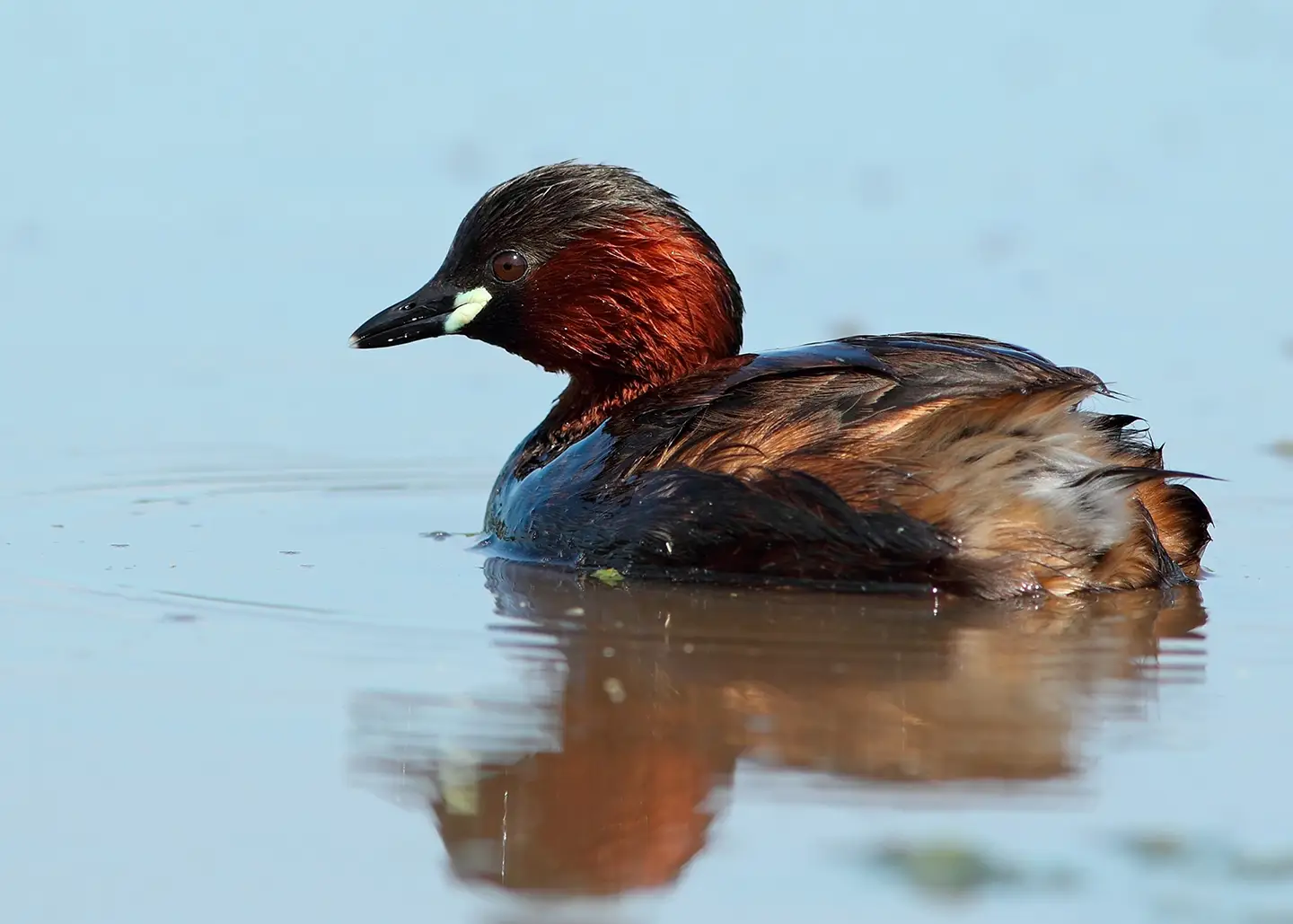 Fotografía por Pexels