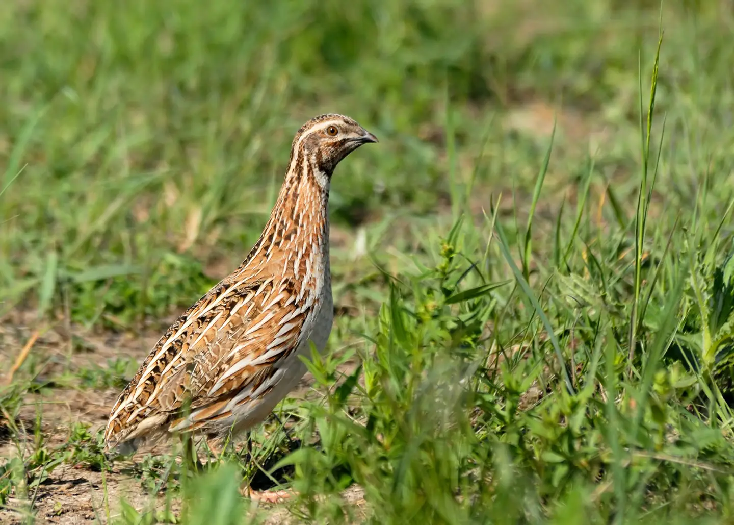 Fotografía por Pexels
