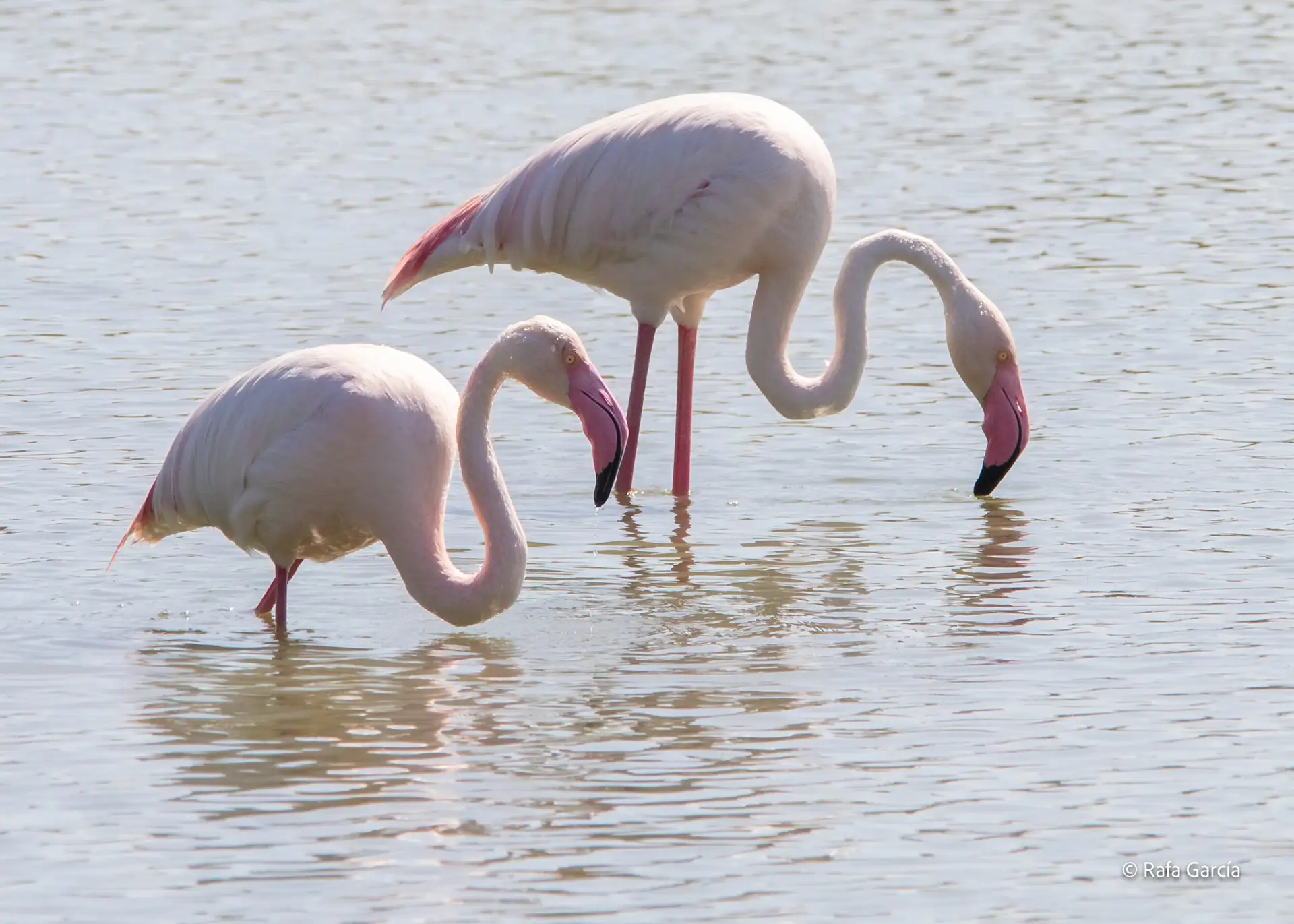 Fotografía por Pexels