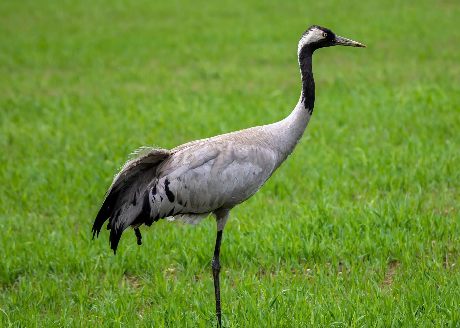 Fotografía por Pexels