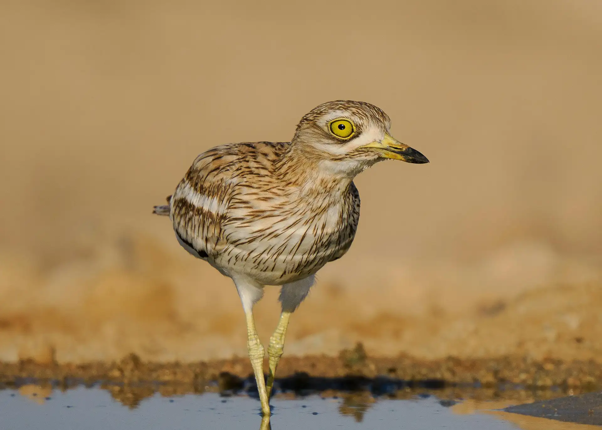 Fotografía por Pexels