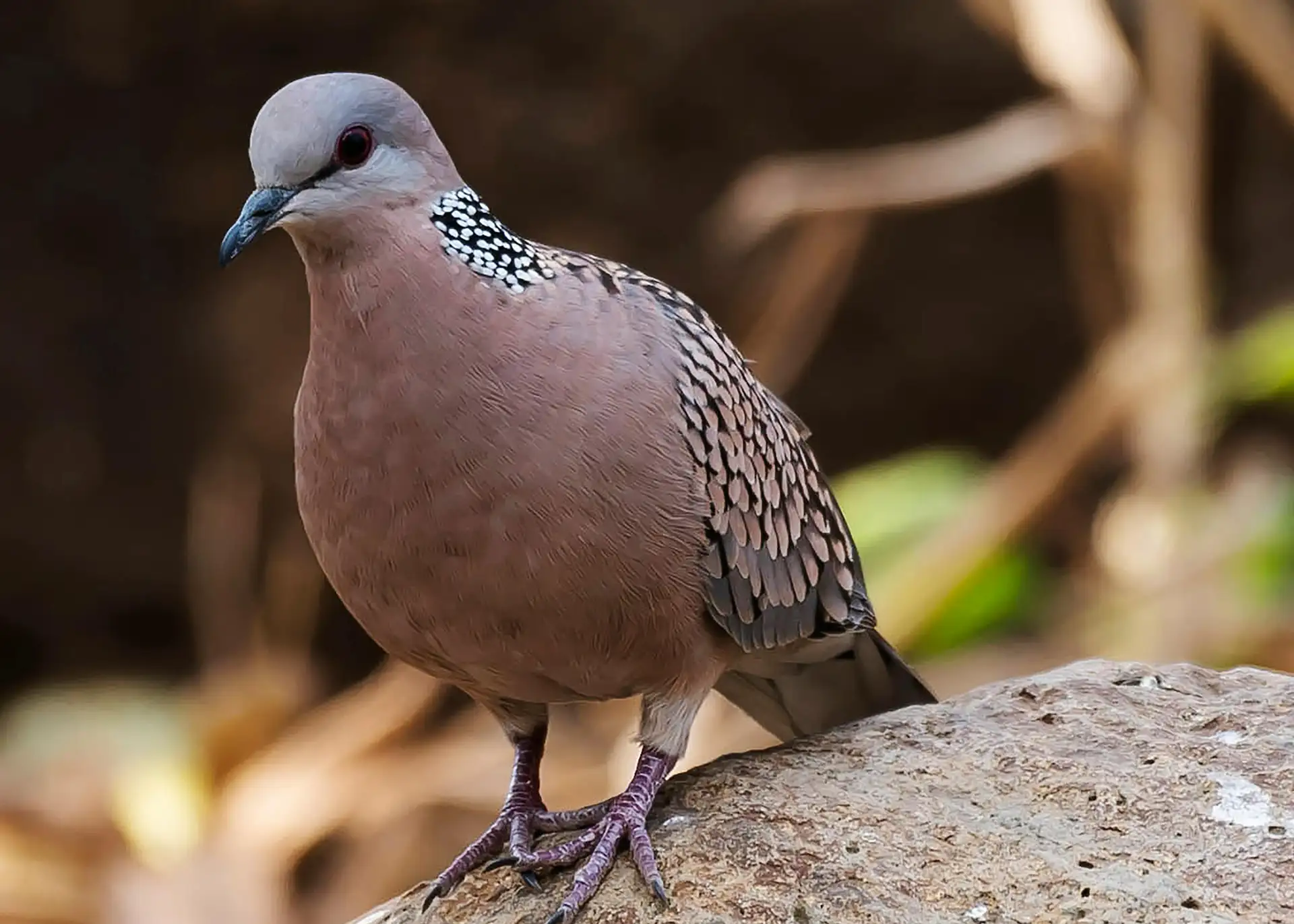 Fotografía por Pexels