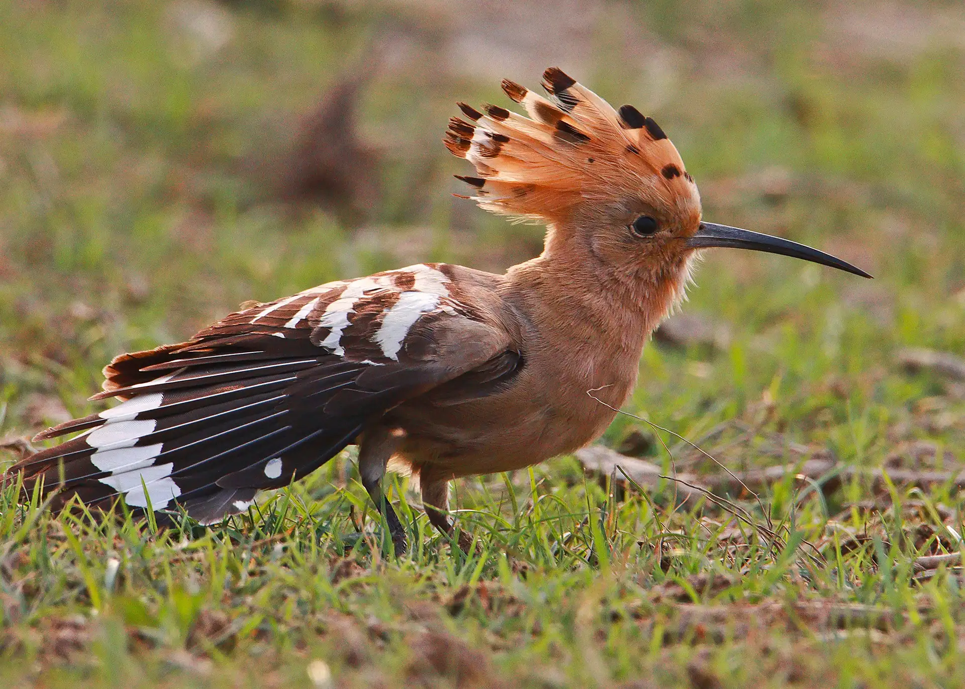 Fotografía por Pexels