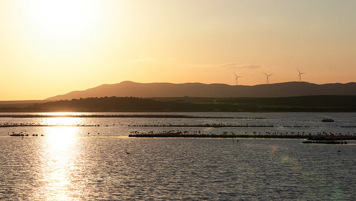 Reserva Natural laguna de Fuente de Piedra